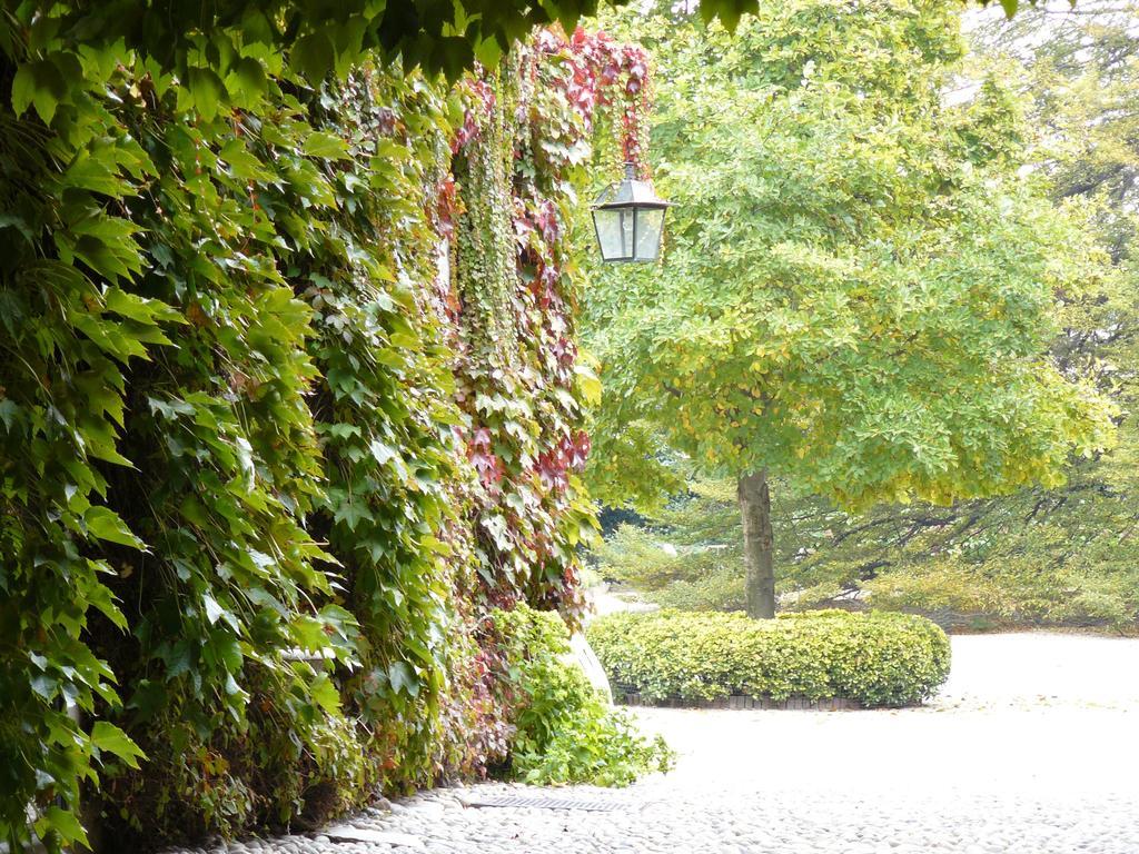 San Benigno CanaveseAl Concerto住宿加早餐旅馆 外观 照片