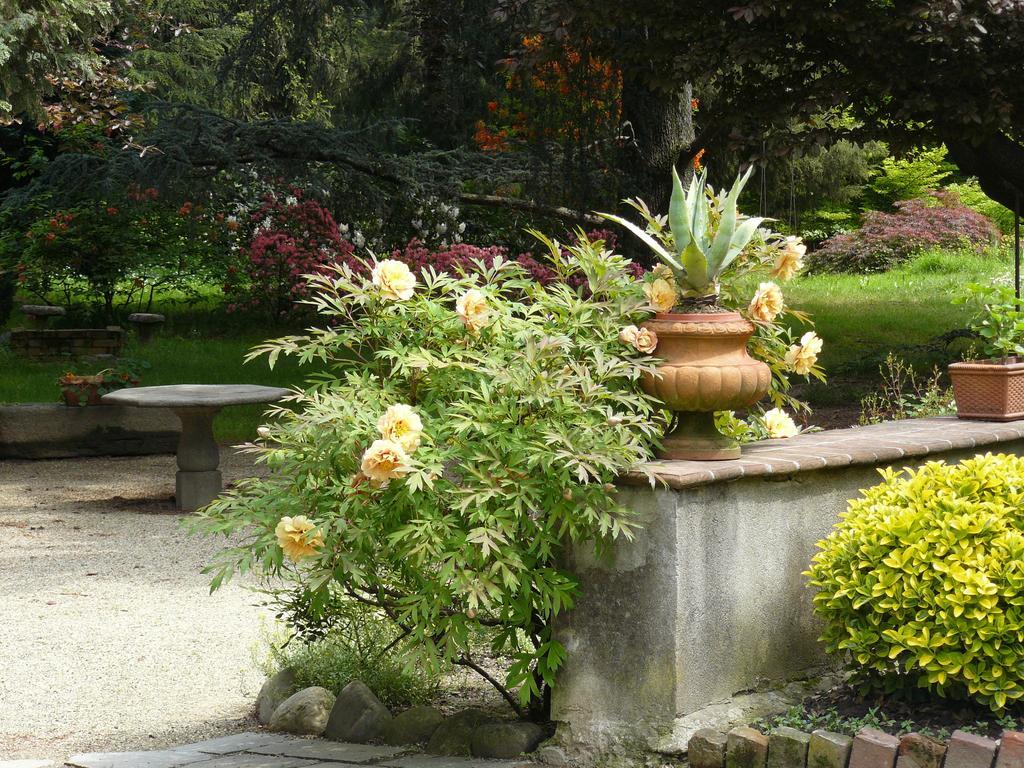 San Benigno CanaveseAl Concerto住宿加早餐旅馆 外观 照片